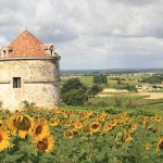 Le pigeonnier d Ardenne