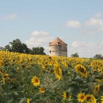 Le pigeonnier d Ardenne